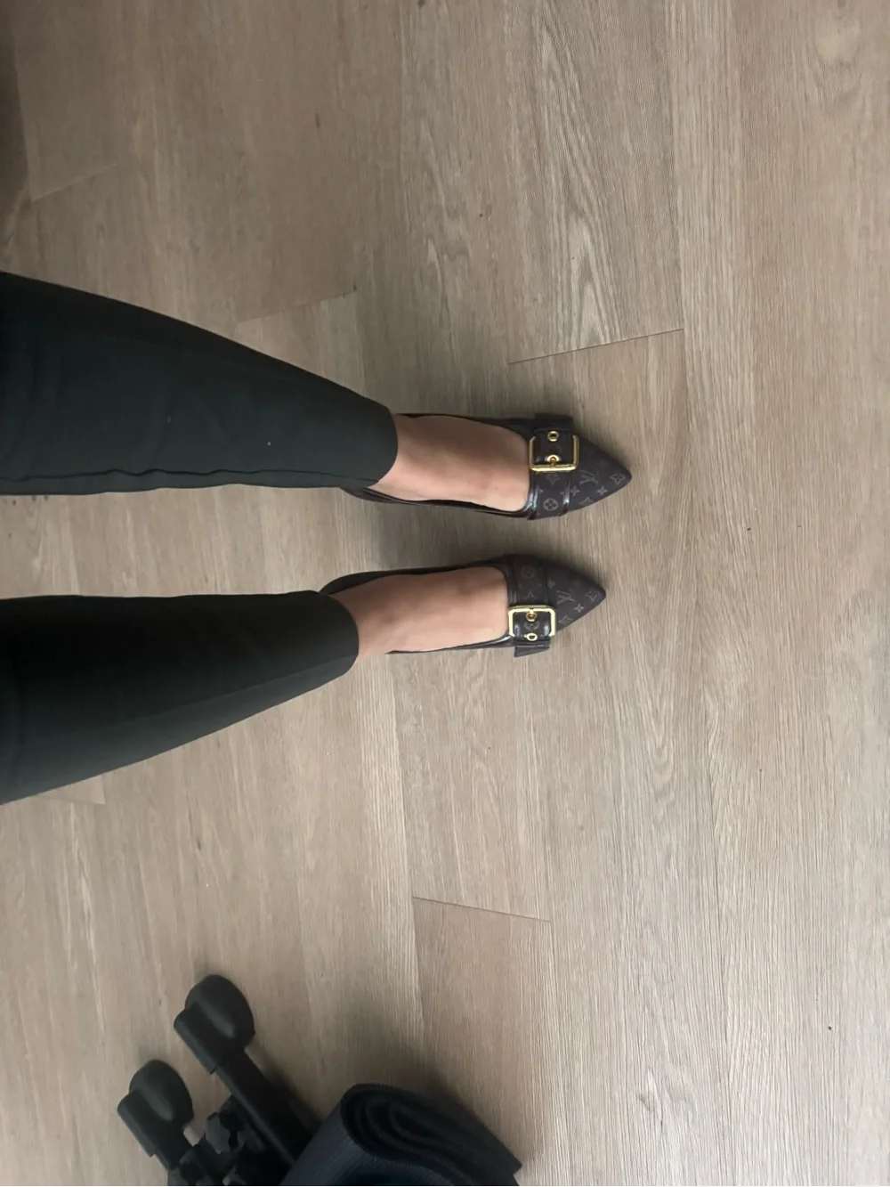 Louis Vuitton classic louis